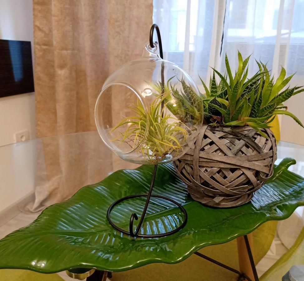 Ric Apartament Navodari Bagian luar foto